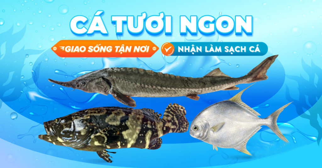 Tuyển dụng CTV bán hàng toàn quốc